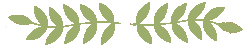 Alternate Text